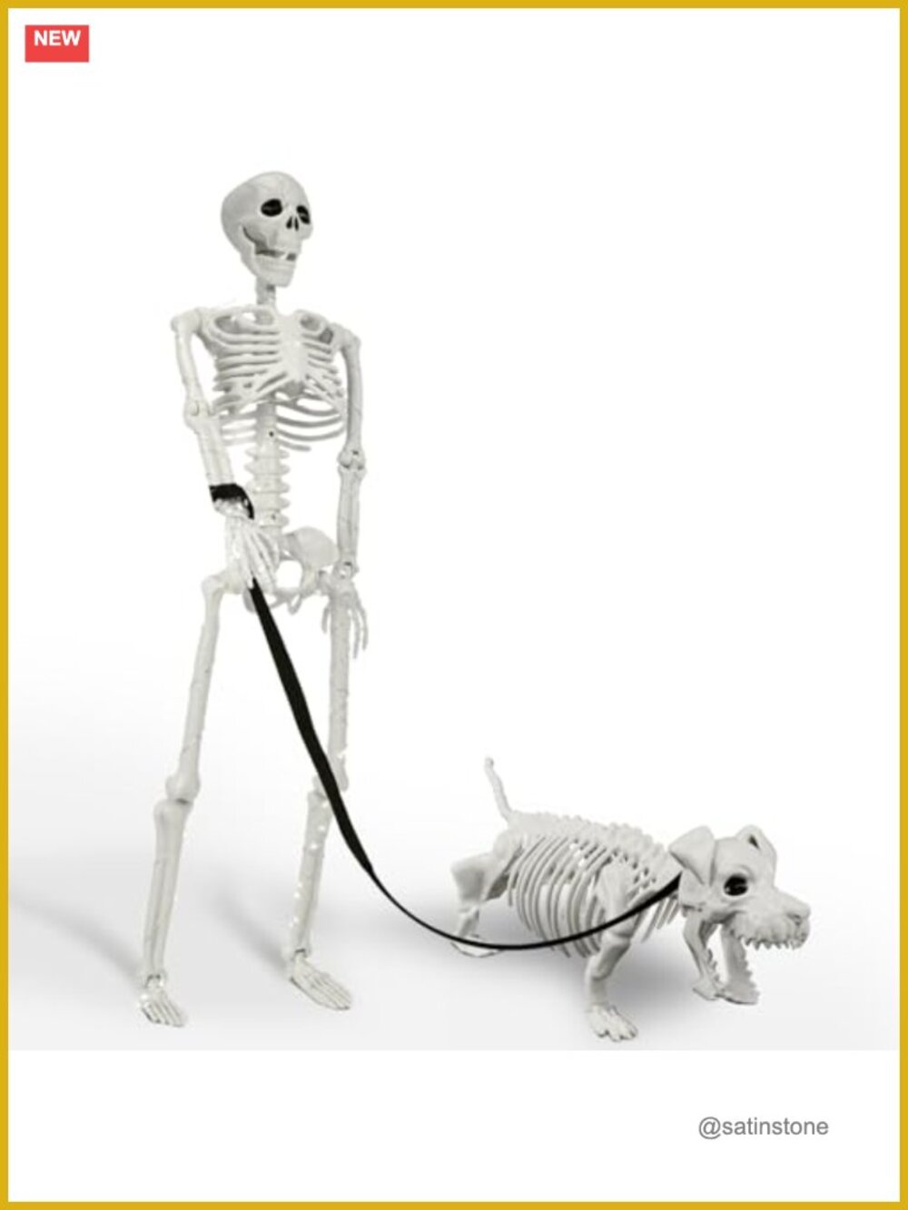 3FT Human & Dog Skeleton Halloween Outdoor Decorations, Movable Posable
